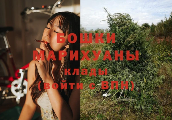 гидропоника Ладушкин