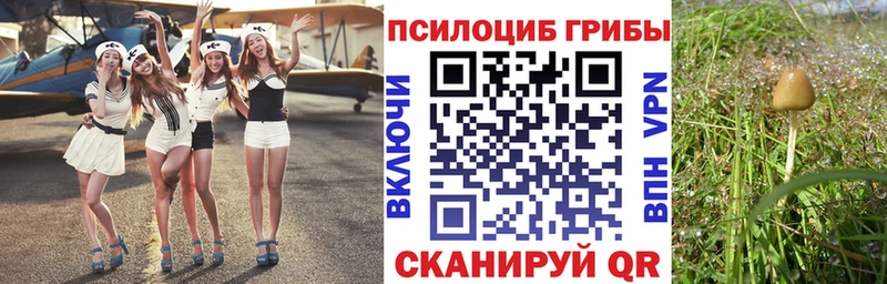 Купить  Динская  Псилоцибиновые грибы Magic Shrooms 
